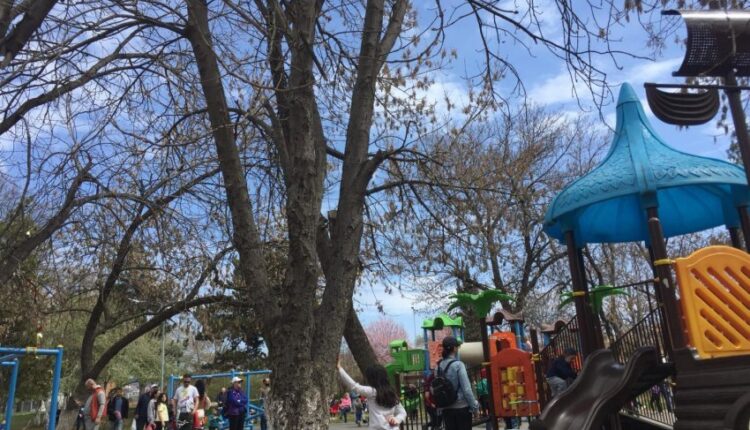 A large number of citizens are spending the day in