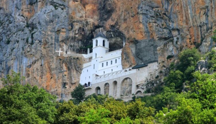 Today is St. Basil of Ostrog, the only holiday WITHOUT