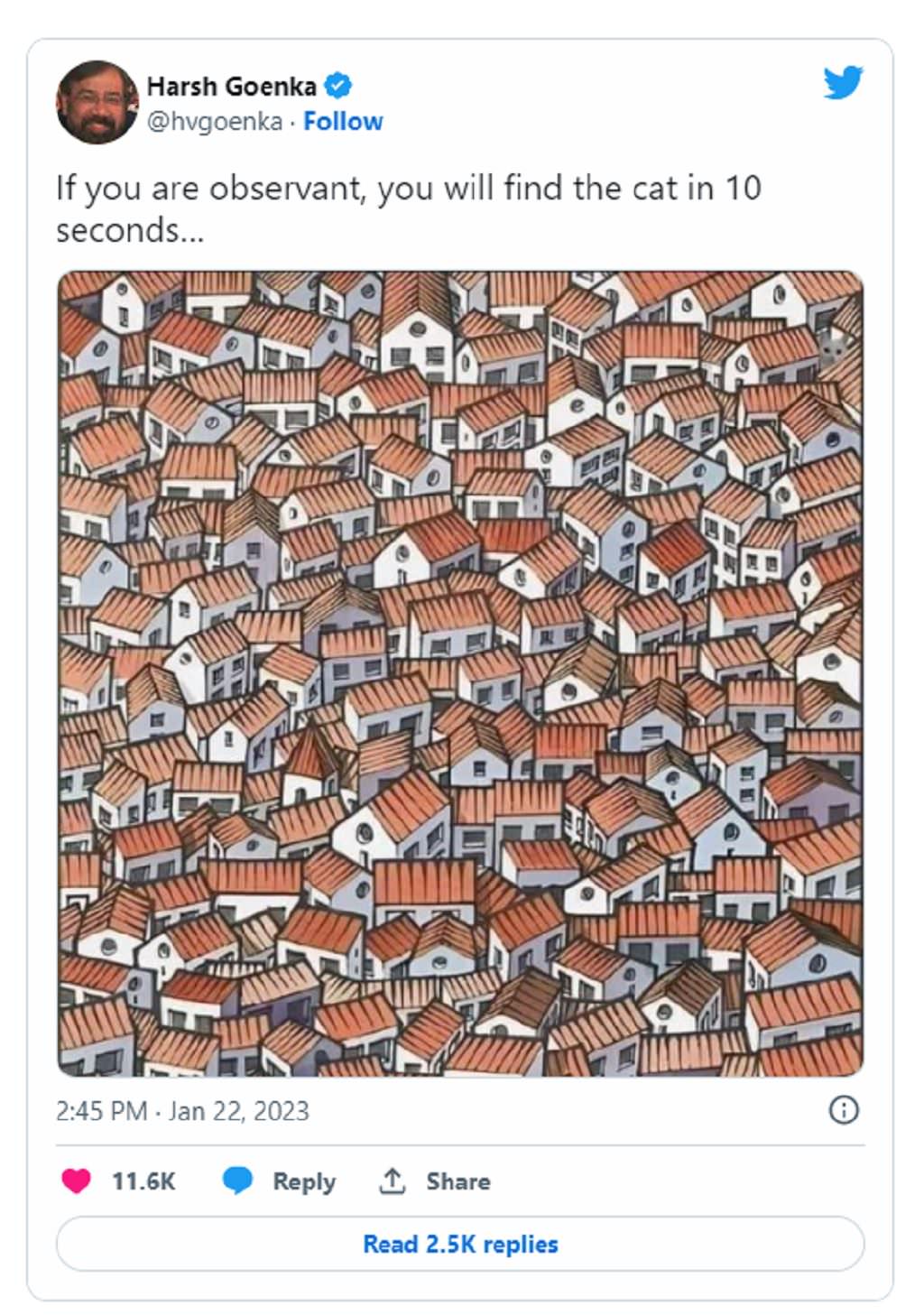A e gjeni dot macen në foto për 10 sekonda?